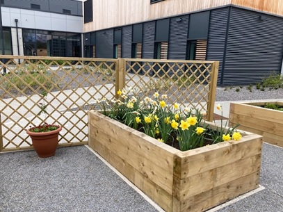 A variety of planters at different heights is crucial to the success of a therapy garden