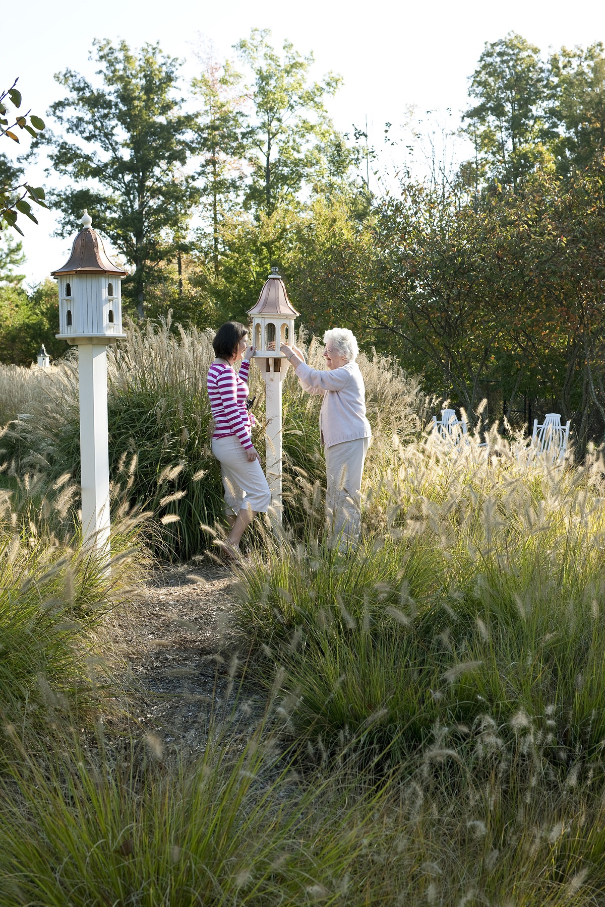 Checking the birdhouse for seeds increases a sense of participation while promoting movement