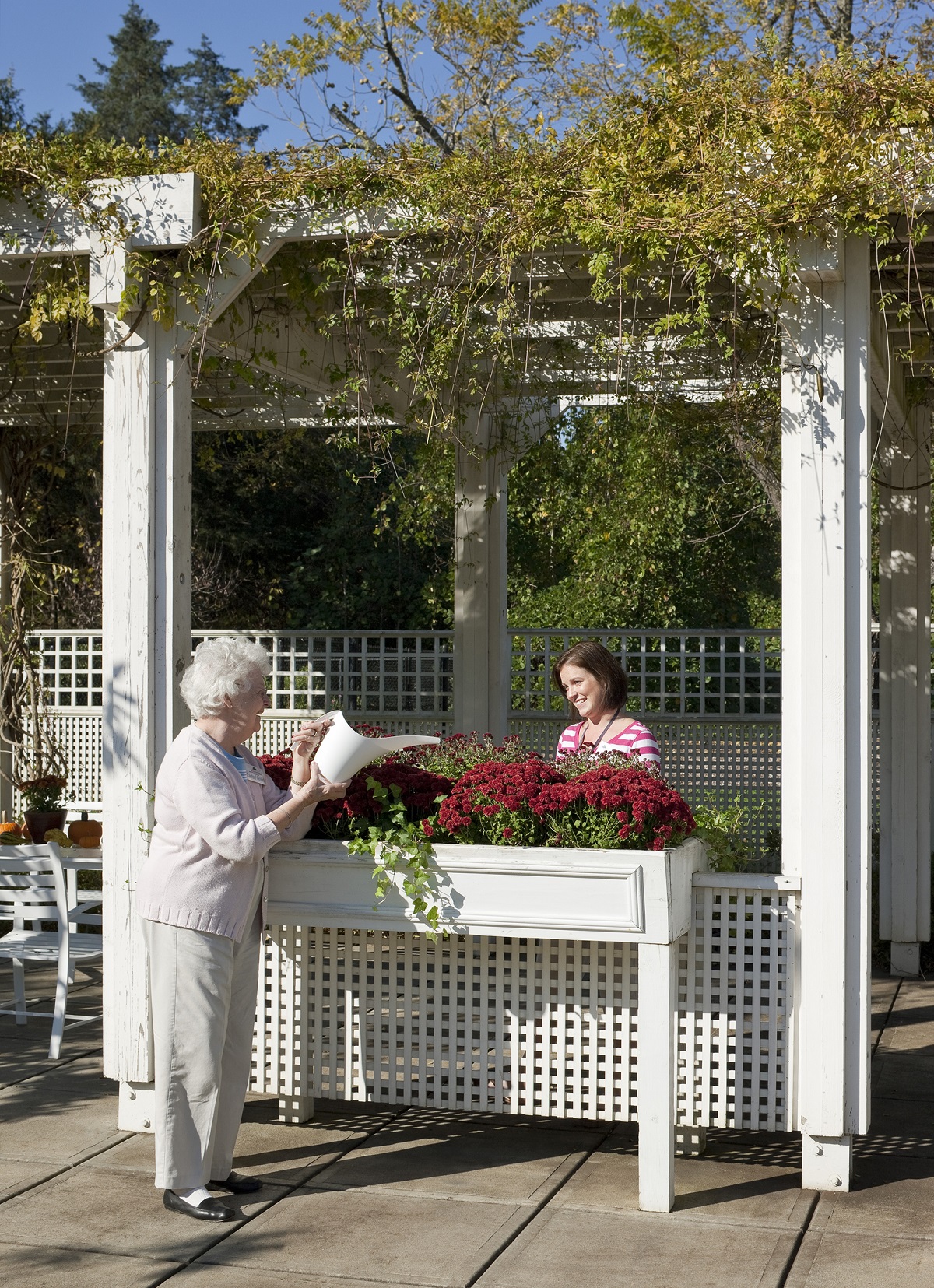 A raised planter encourages socialisation 