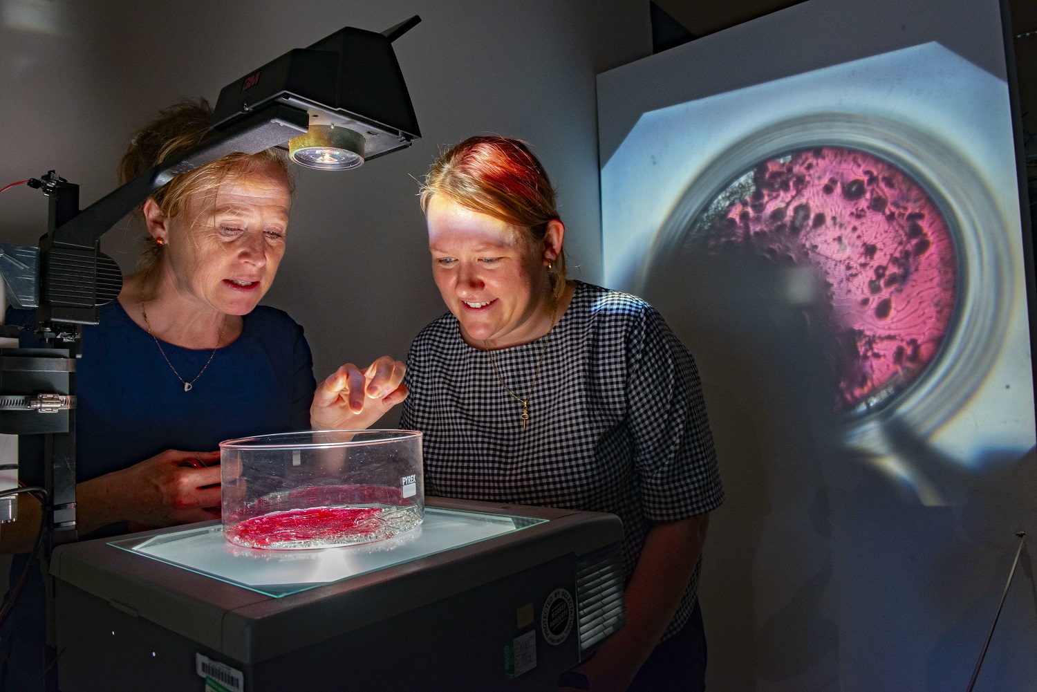Charlie Murphy (left) and Professor Selina Wray (right) examine the artwork, In Vitro, 2022