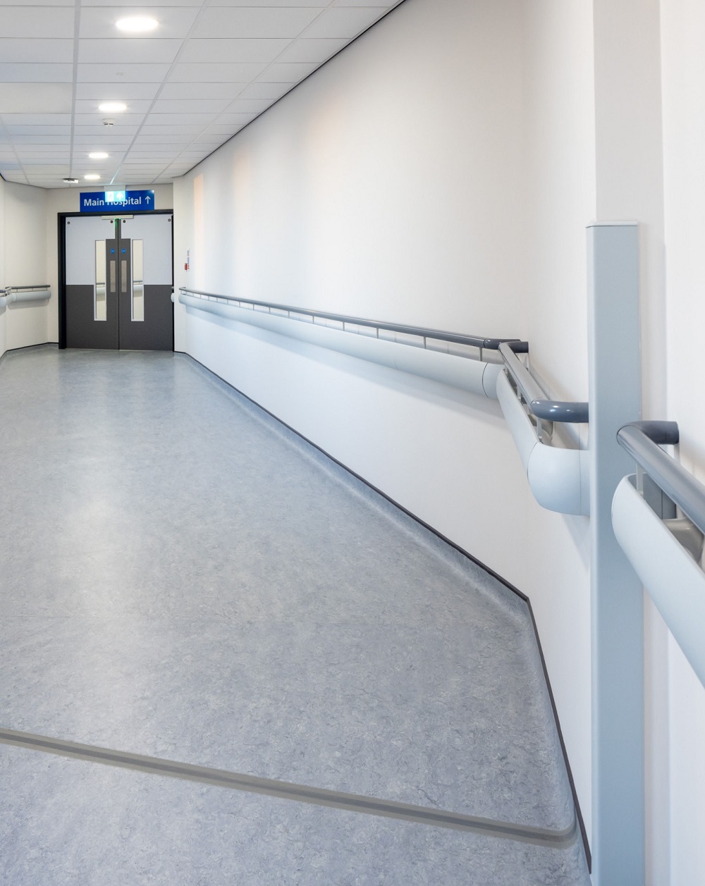 CHR160 combination rails combine a handrail and a wallguard element in a single product