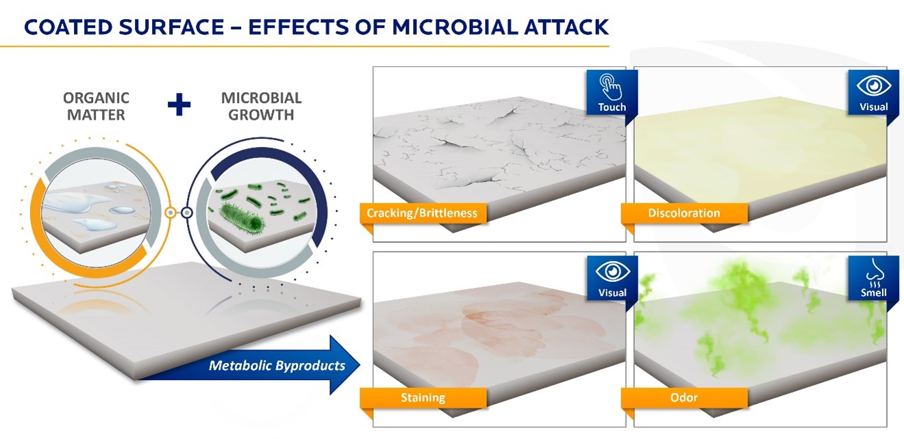 Figure 1: Microbial growth can cause brittleness, discolouration, staining, and odours on products