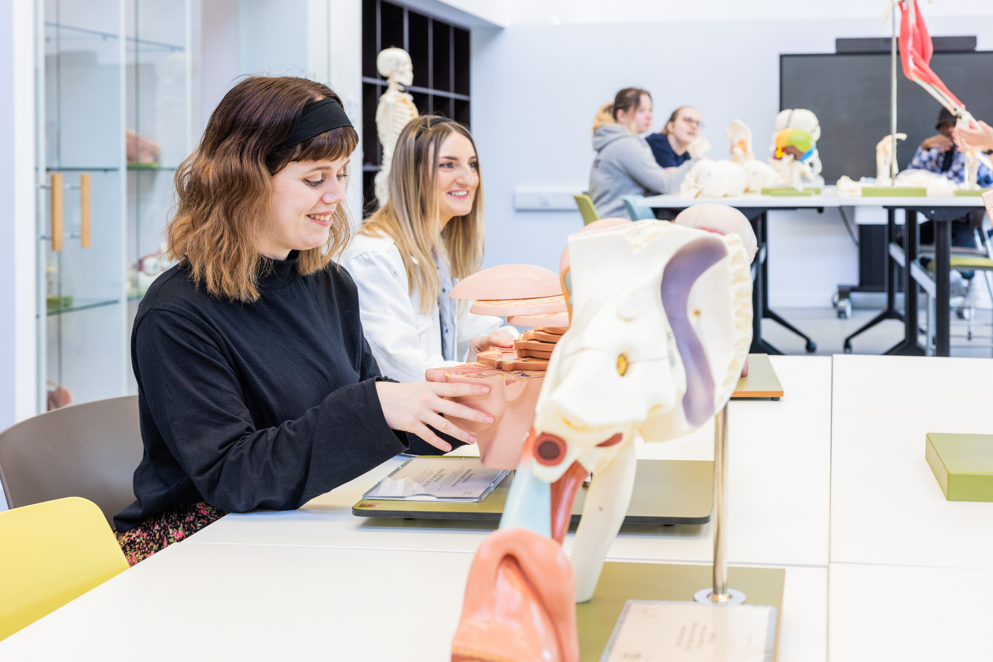 The Glancy Nicholls team will be offering services under three lots