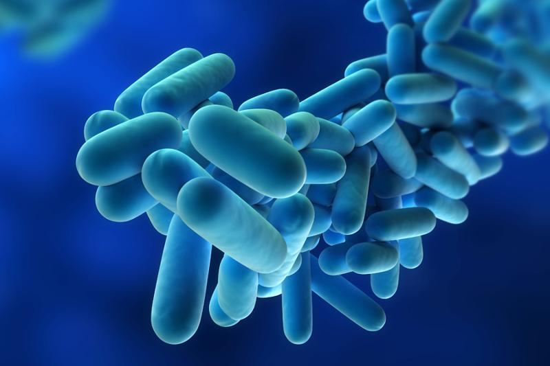 A water safety audit is particularly critical in helping to reduce Legionella risk in hospitals
